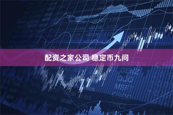 配资之家公司 稳定币九问
