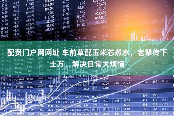配资门户网网址 车前草配玉米芯煮水，老辈传下土方，解决日常大烦恼