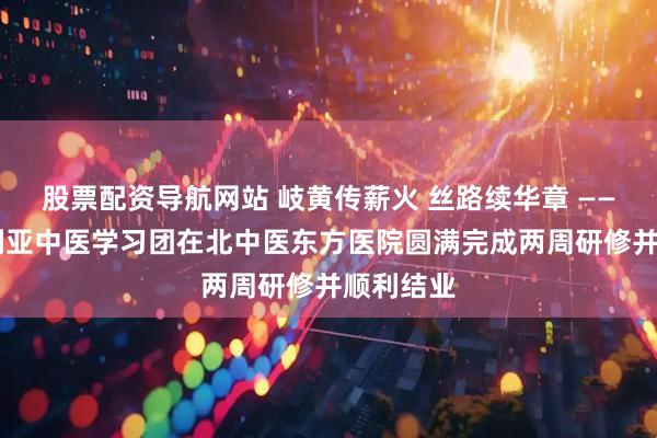 股票配资导航网站 岐黄传薪火 丝路续华章 —— 阿尔及利亚中医学习团在北中医东方医院圆满完成两周研修并顺利结业
